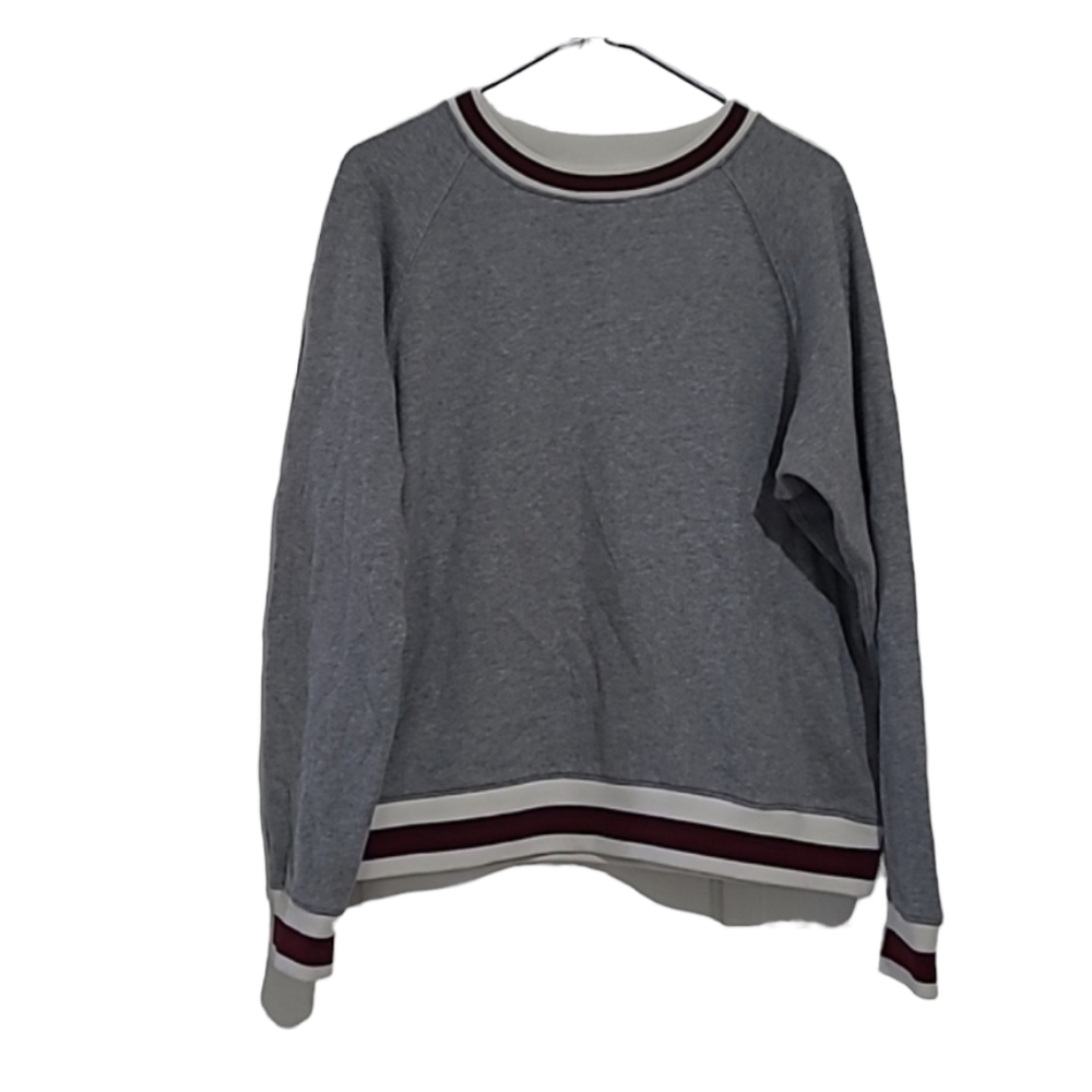 Aritzia Little Moon Grey Varsity Sweatshirt